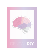 Load image into Gallery viewer, Brain Sticker