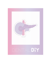 Load image into Gallery viewer, Pancreas Sticker