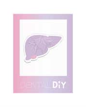 Load image into Gallery viewer, Liver Sticker