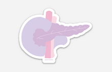 Load image into Gallery viewer, Pancreas Sticker