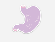 Load image into Gallery viewer, Stomach Sticker