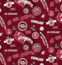 Load image into Gallery viewer, WSU Scrub Cap