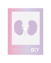 Load image into Gallery viewer, Kidneys Sticker