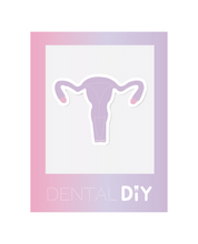 Load image into Gallery viewer, Uterus Sticker