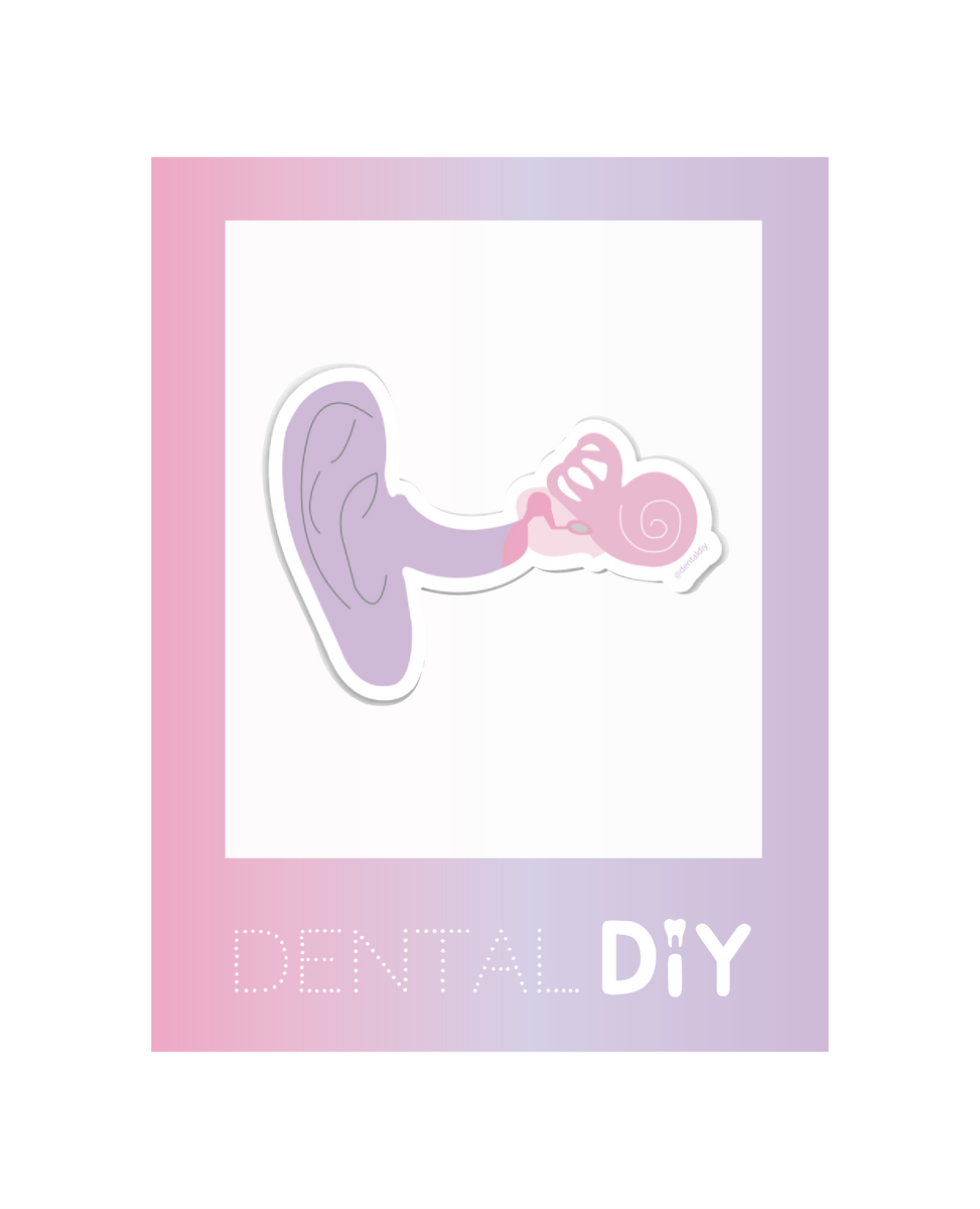 Ear Sticker – dentaldiyshop