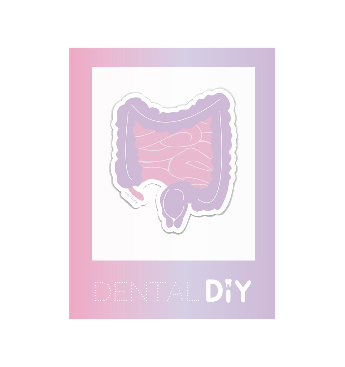 Intestine Sticker Intestine Sticker – dentaldiyshop