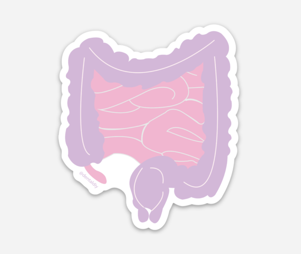 Intestine Sticker Intestine Sticker – dentaldiyshop